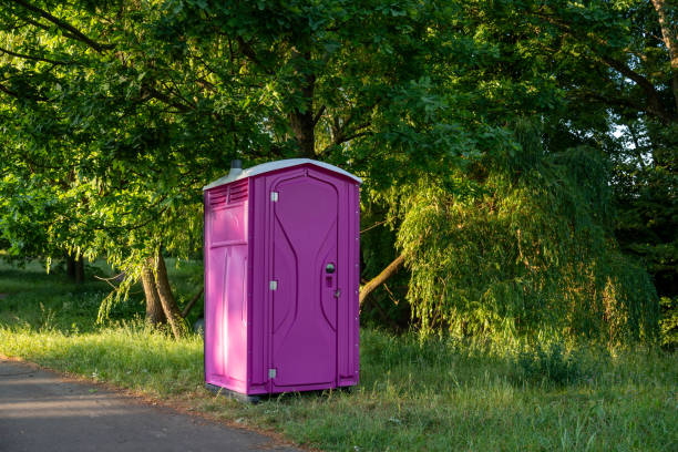 Best Local porta potty services  in Ogden, IA